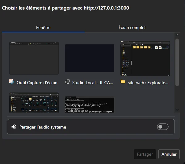 Fenêtre de sélection Windows pour le partage d’écran, avec l’option Partager l’audio système